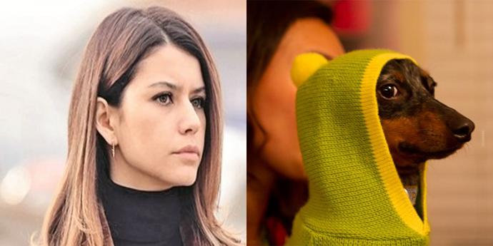 Beren Saat Emojisi Kıvamında 5 Sevimli Dost
