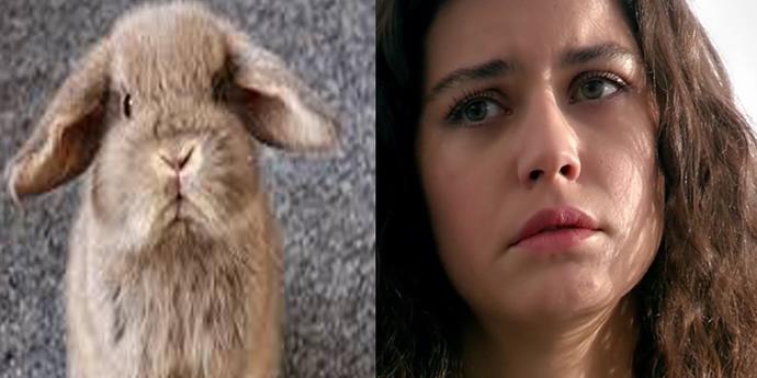 Beren Saat Emojisi Kıvamında 5 Sevimli Dost