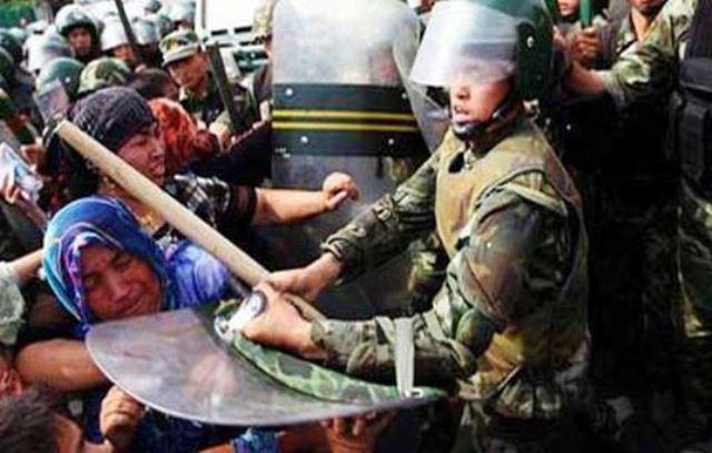 İnsanları Tanıdıkça Korktum ve Hayvanları Daha Çok Sever Oldum