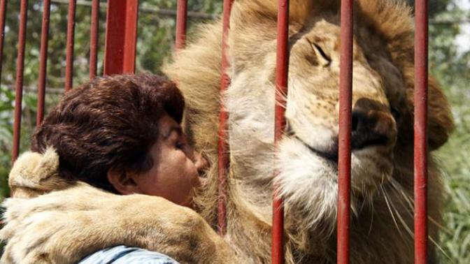 İnsanları Tanıdıkça Korktum ve Hayvanları Daha Çok Sever Oldum