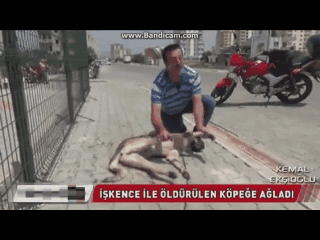 Erkek Kalbi Nasıl İşler?