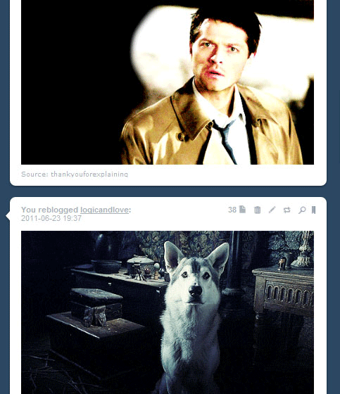 Tumblr'da Ohamblr Dedirten 10 Komik Tesadüf