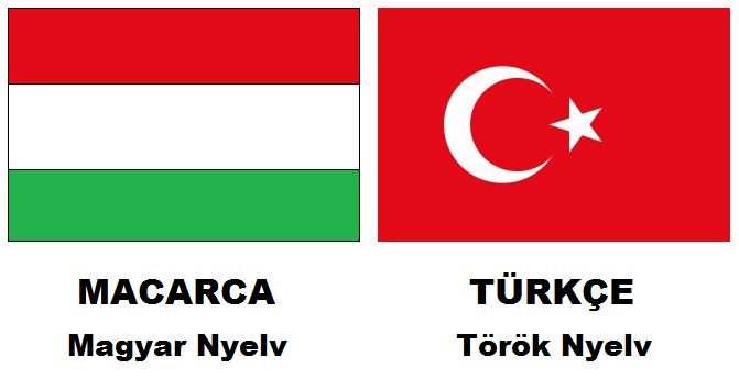 Türkler İçin Öğrenenilebilecek En Kolay Diller
