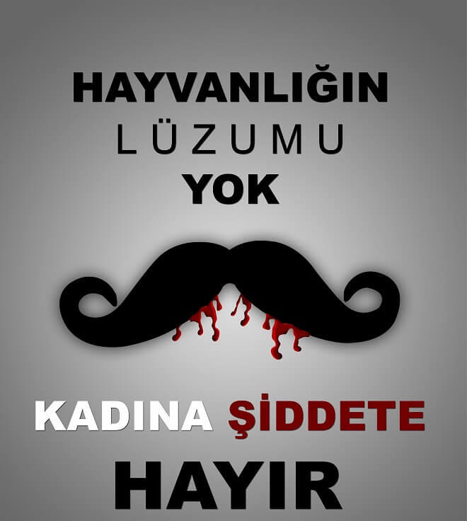 Özgecan Yasasına Çağrı, Kadına Şiddete Hayır Diyorum