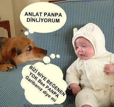 Türkiye'den Aşk İlişkileri