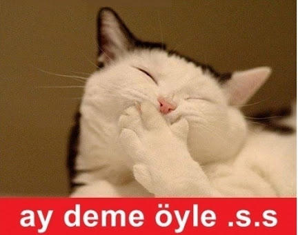 Türkiye'den Aşk İlişkileri