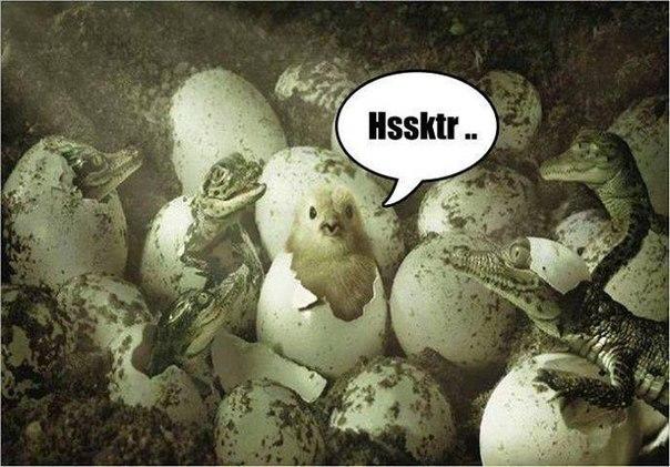 Düşunce Tılsımı 