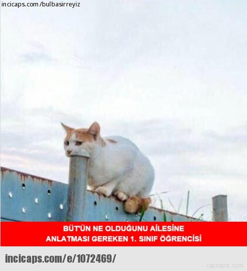 Üniversite Hayatının Trajikomik Vesikaları