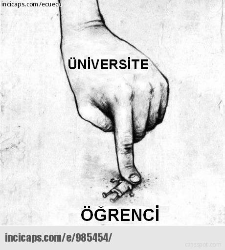 Üniversite Hayatının Trajikomik Vesikaları