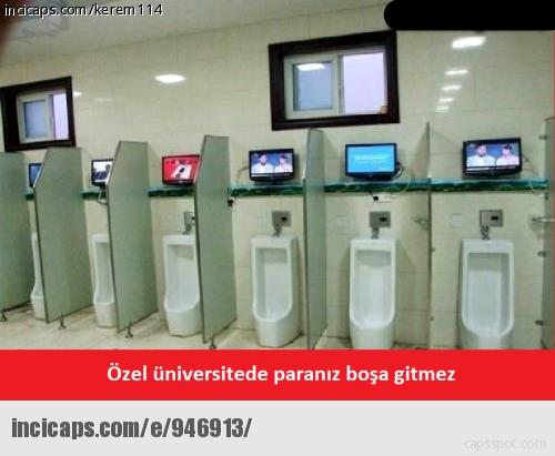 Üniversite Hayatının Trajikomik Vesikaları