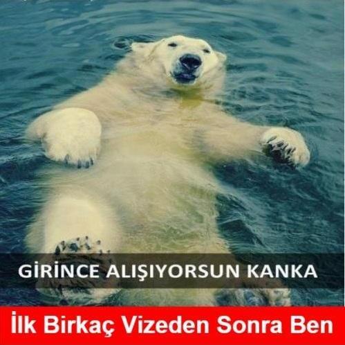 Üniversite Hayatının Trajikomik Vesikaları