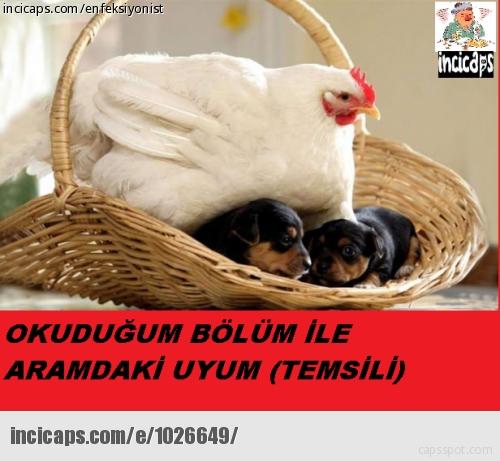 Üniversite Hayatının Trajikomik Vesikaları