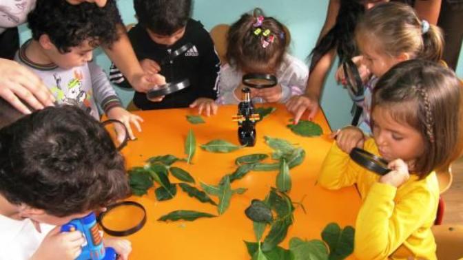 Anaokulundan Üviversiteye Öğrencilik Serüveni