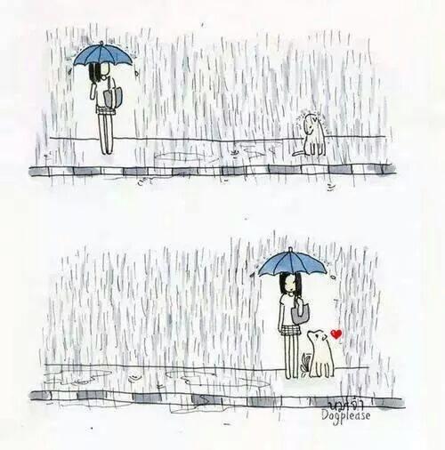 Minik Bir Dost Edinmeye Ne Dersin?