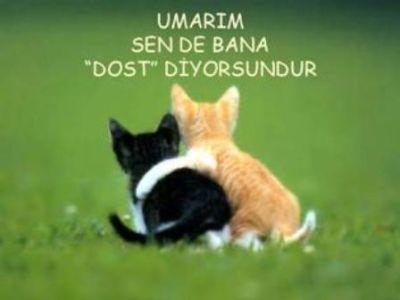 Aşk Bazen, Aşk Bazen?
