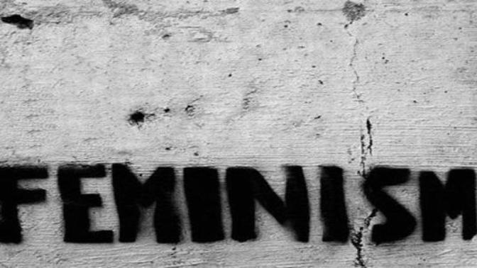 Feminizm Eşit Yaşam Mücadelesidir, Öcü Değil