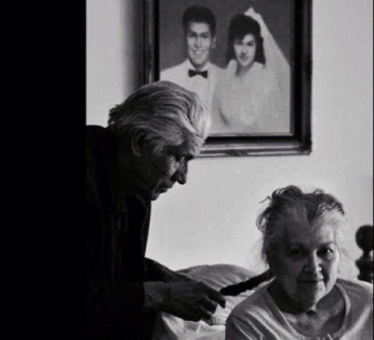 Aşk, Sevgi, Vefayı Merak Edenler İçin En İyi Örnekler