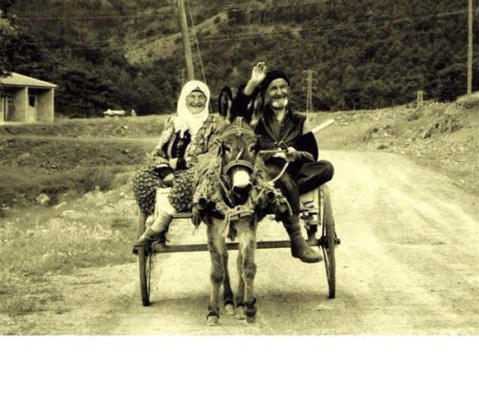 Aşk, Sevgi, Vefayı Merak Edenler İçin En İyi Örnekler