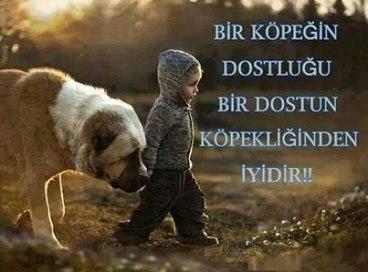 Gariban Kime Denir?