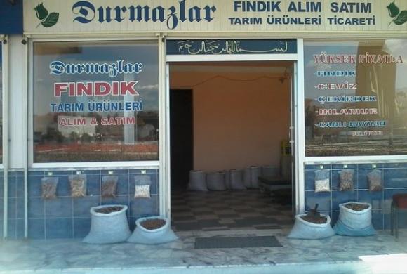 Fındık Ayı Nasıl Geçer?