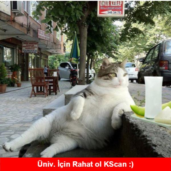 LYS Öncesi Üniversite Adaylarına Önemli Tavsiyeler <3