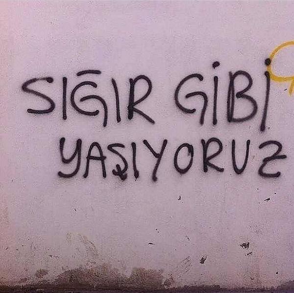 #KüfürSokakta Etiketiyle Yazılar - Hoş Göndermeler