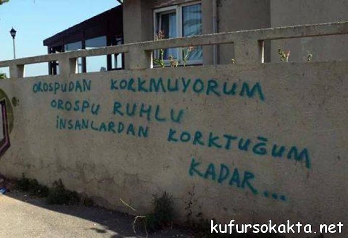 #KüfürSokakta Etiketiyle Yazılar - Hoş Göndermeler