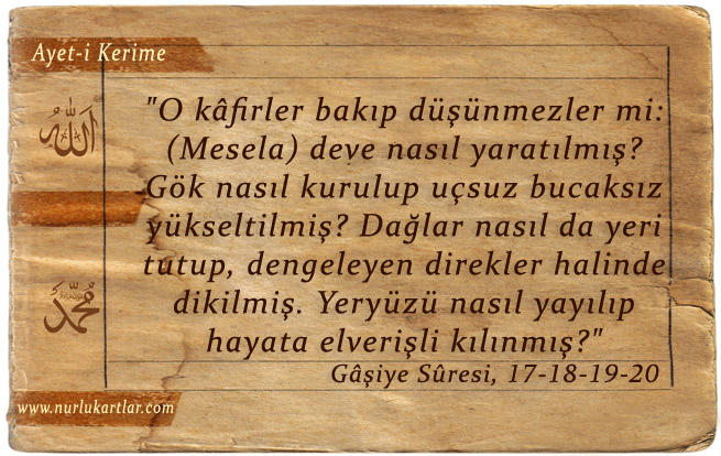 İslamofobi Nedir?