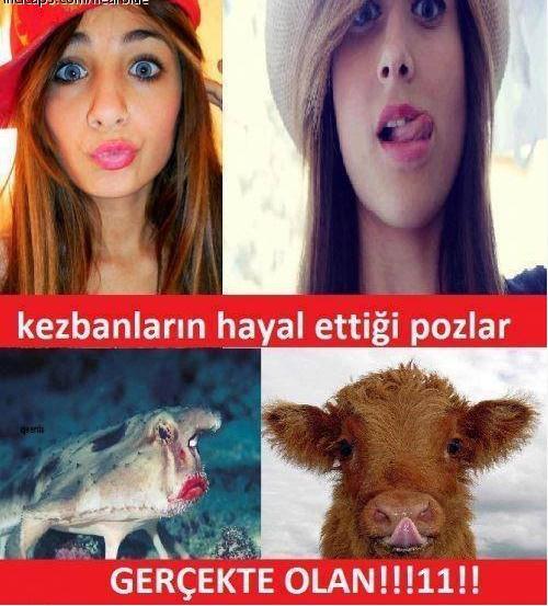 Efsane Trip Çeşitleri!