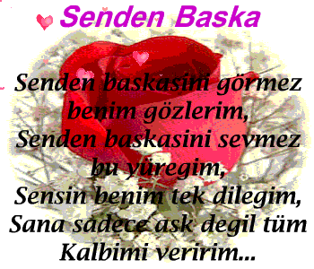 Erkeklerin Evlenmek İstediği Kızın Özellikleri