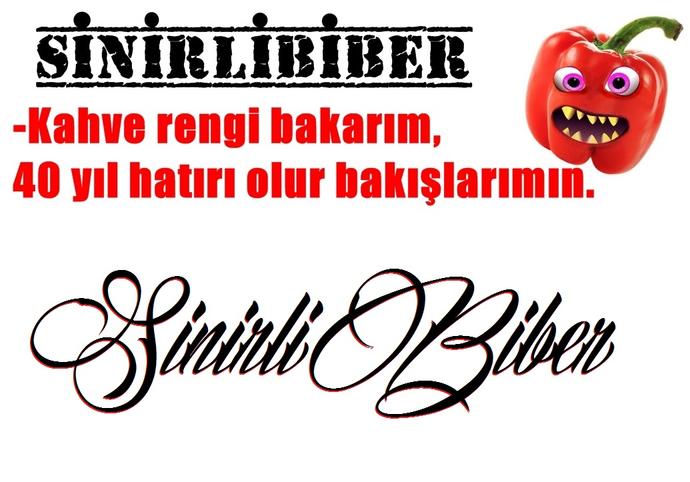 Duyabileceğiniz en garip Türkçe şarkılardan seçmeler.