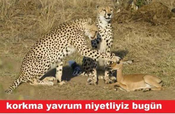 Ramazan'da Neler Yaşayacağız