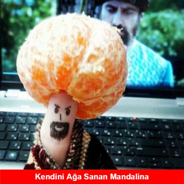 Meyve Temalı Eğlenceli Capsler