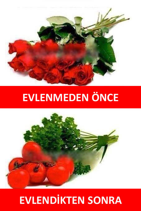 Meyve Temalı Eğlenceli Capsler