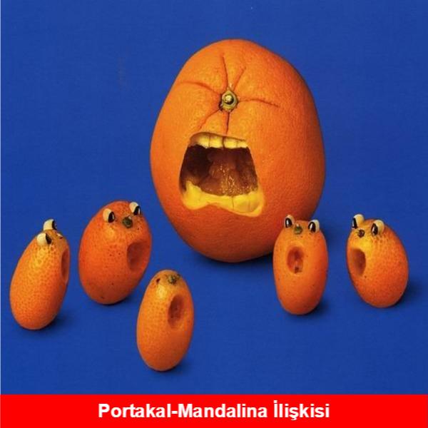 Meyve Temalı Eğlenceli Capsler
