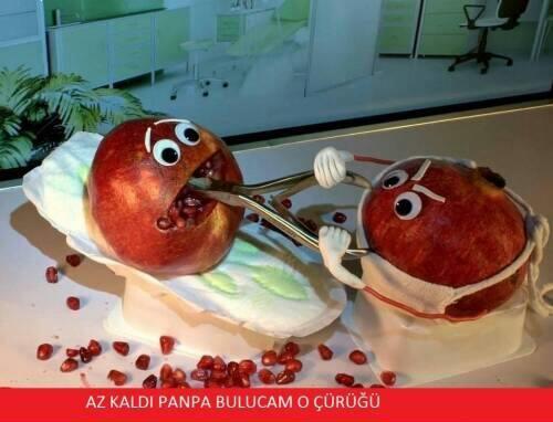 Meyve Temalı Eğlenceli Capsler