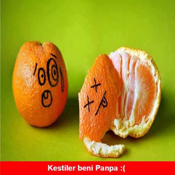 Meyve Temalı Eğlenceli Capsler
