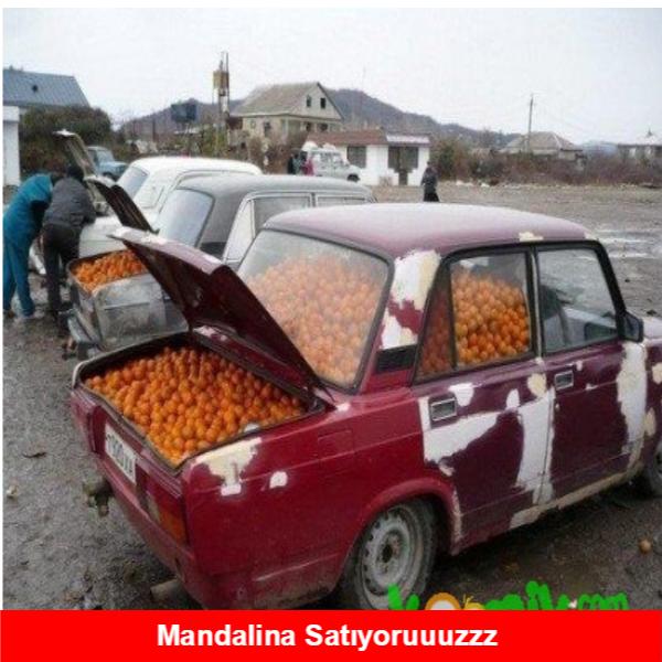 Meyve Temalı Eğlenceli Capsler