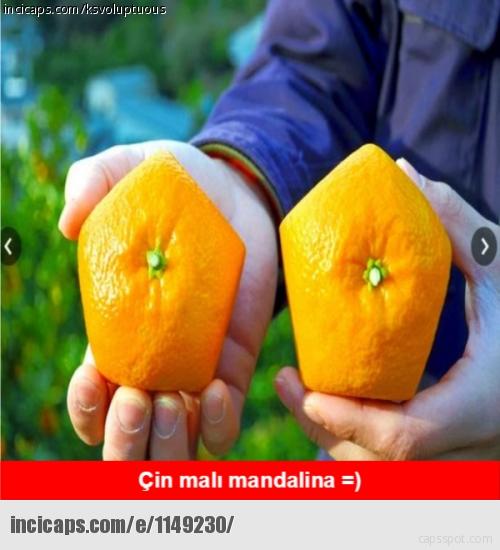 Meyve Temalı Eğlenceli Capsler