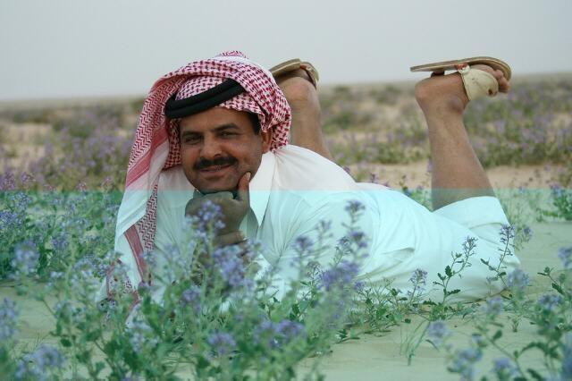 Kadınlar Ne İster, Hayaller ve Gerçekler