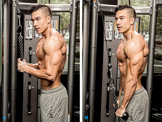 Chest - Triceps Workout Kısa Sürede Şişkin Kol ve Göğüsler