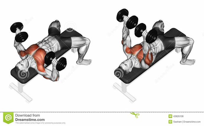 Chest - Triceps Workout Kısa Sürede Şişkin Kol ve Göğüsler
