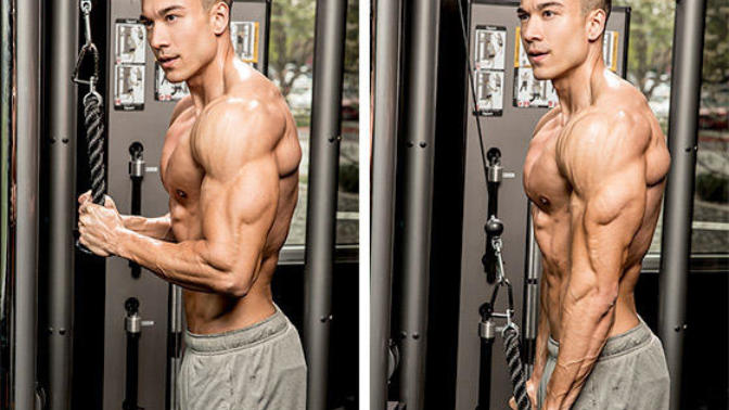 Chest - Triceps Workout Kısa Sürede Şişkin Kol ve Göğüsler