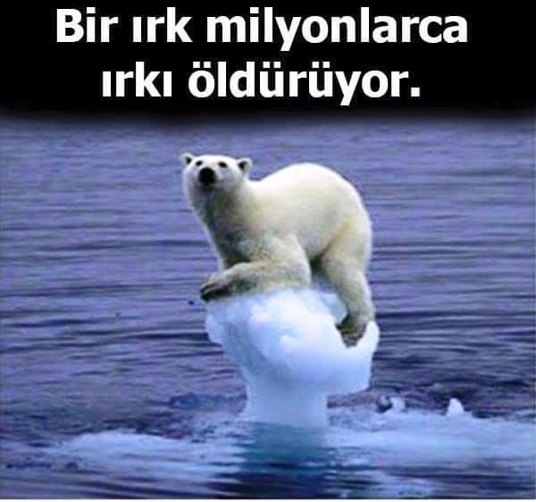 Hayvanlar Aleminin Korkulu Rüyası ''İnsan''