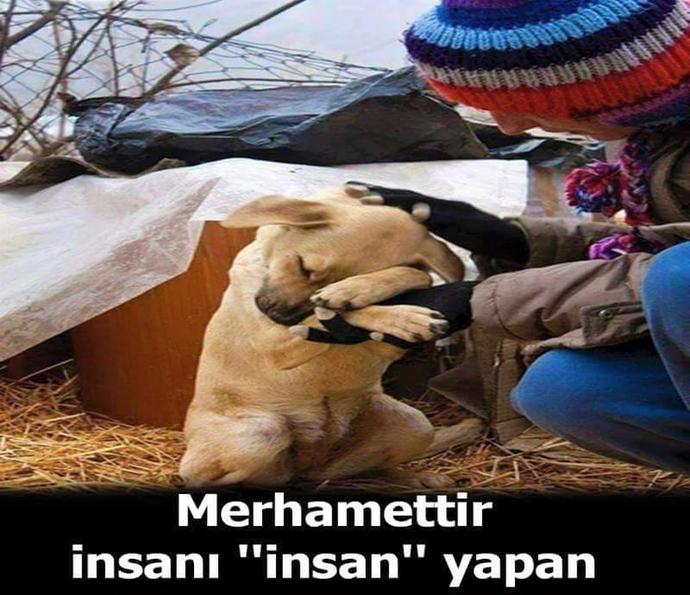 Hayvanlar Aleminin Korkulu Rüyası ''İnsan''