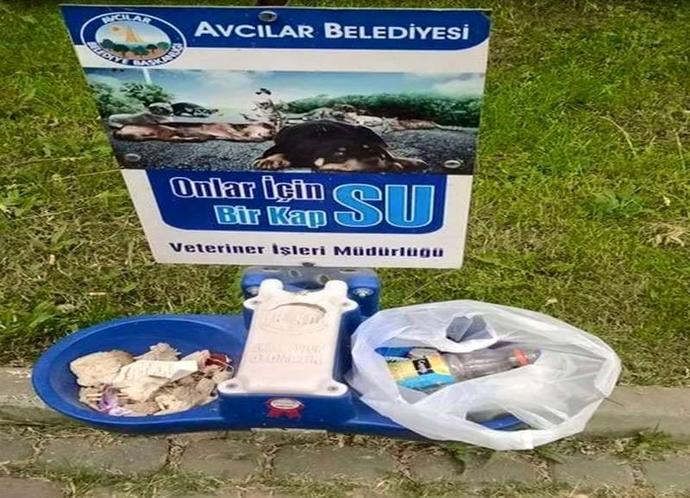 Hayvanlar Aleminin Korkulu Rüyası ''İnsan''