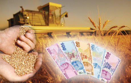 Eşit Ağırlık Puaniyla Alan Tarım Ekonomisi Bölümü