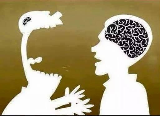 Anlam Kokan Karikatürler