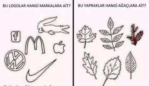 Anlam Kokan Karikatürler