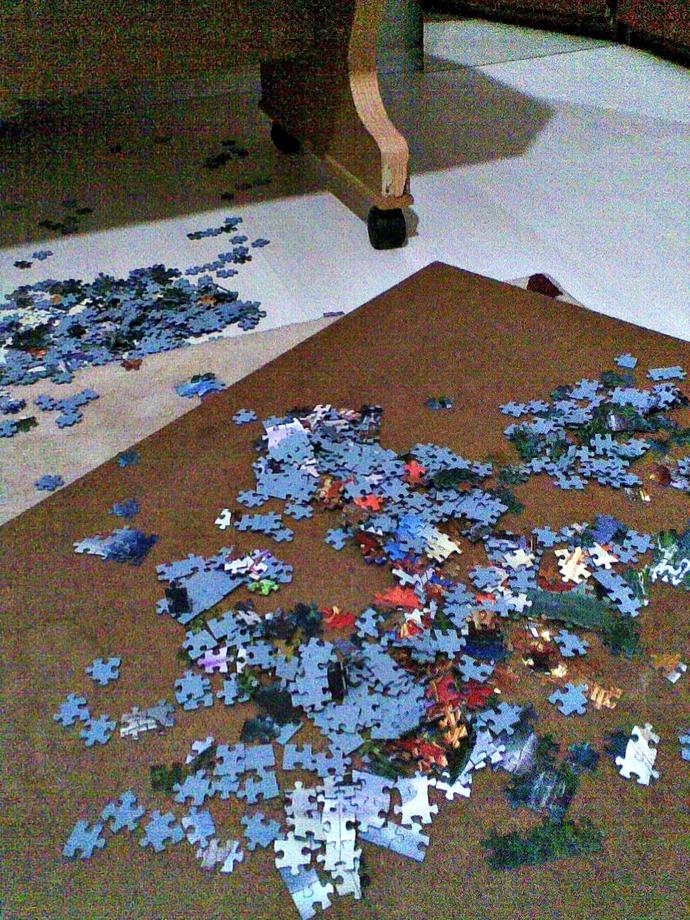 Puzzle Sevenlerin Nefret Ettiği 10 Şey